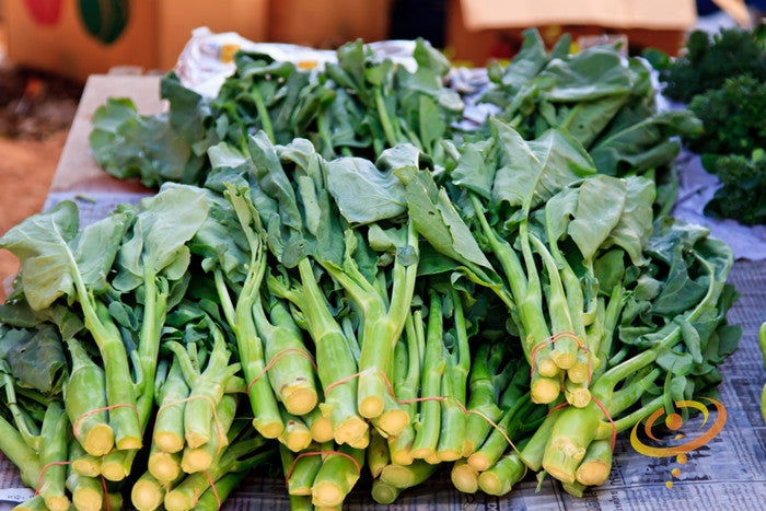 Fresh green Georgia Southern collard leaves from SeedsNow, shown with vibrant, healthy leaves ready for cooking or planting.