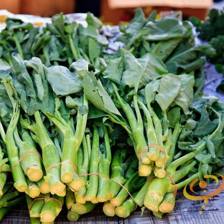 Fresh green Georgia Southern collard leaves from SeedsNow, with thick stems and vibrant foliage, ready for harvest.