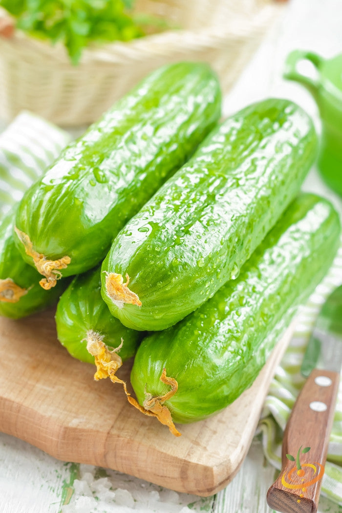 Fresh green Muncher cucumbers on wooden cutting board with knife and striped towel