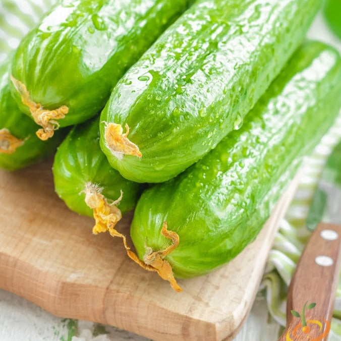 Fresh green Muncher cucumbers on wooden cutting board with knife and cloth background