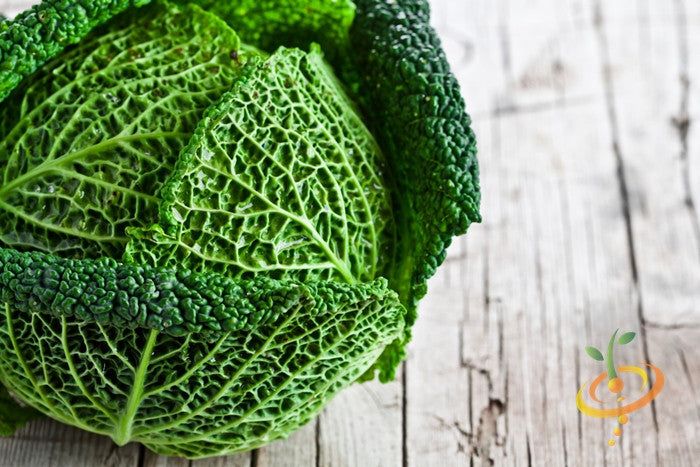 Close-up of fresh Savoy Perfection cabbage with textured, wrinkled green leaves on wooden surface