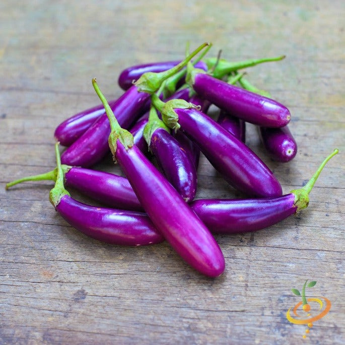 Cluster of long purple eggplants (aubergines) with green stems on a wooden surface