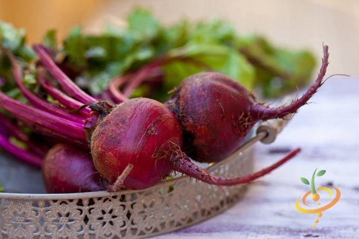 Fresh Boltardy Beet roots with green leaves in a decorative tray