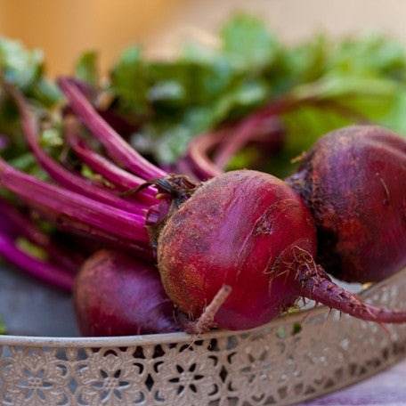 Buy Boltardy Beet seeds for sale online in the USA. Cold-hardy Detroit-type beet, 60 days to maturity! Open-pollinated, USA-quality, Heirloom, organic seeds & more!