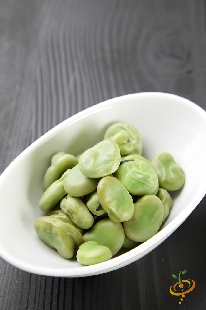Lima bean plant with green pods, Thorogreen seeds, thriving in garden soil, healthy foliage, and developing bean pods.
