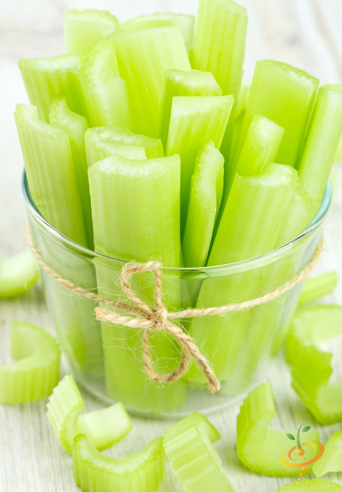 Fresh pale green Tendercrisp celery stalks in a glass jar tied with twine