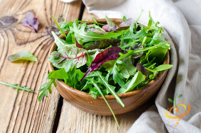 Gourmet mesclun mix lettuce seeds from SeedsNow, small packet showing colorful lettuce seed variety for planting.