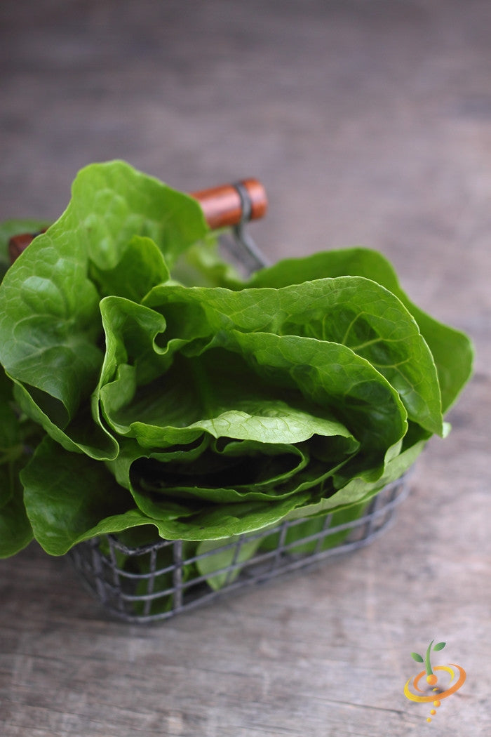 Fresh dark green romaine lettuce leaves in a small wire basket on a wooden surface
