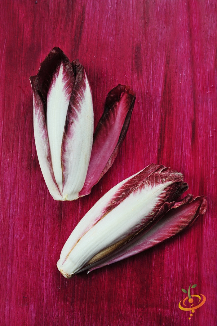 Verona Red Chicory leaves on a red wooden background