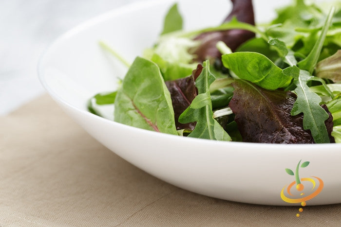 Fresh gourmet mesclun mix lettuce seeds from SeedsNow, showcasing vibrant, mixed lettuce seeds for planting.
