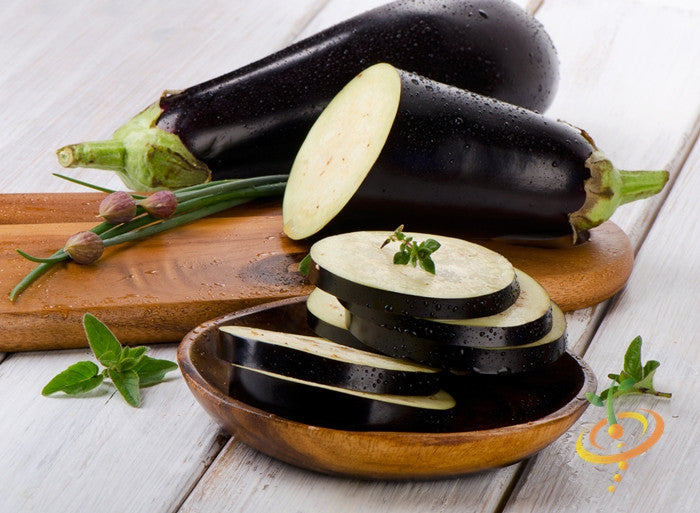 Blackbeauty eggplant seeds from SeedsNow, close-up of mature glossy purple-black eggplant fruit on plant.