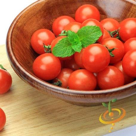 Bowl of bright red Tomato Tiny Tim cherry tomatoes with fresh green mint leaves on top