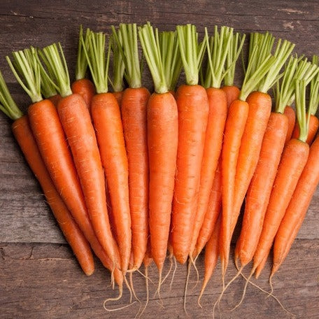 Fresh orange Tendersweet carrots with green tops arranged on wooden surface, ideal for growing from seeds