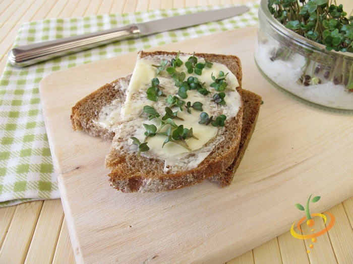 Sprouts/microgreens of broccoli on buttered bread with knife and jar of sprouts on wooden cutting board