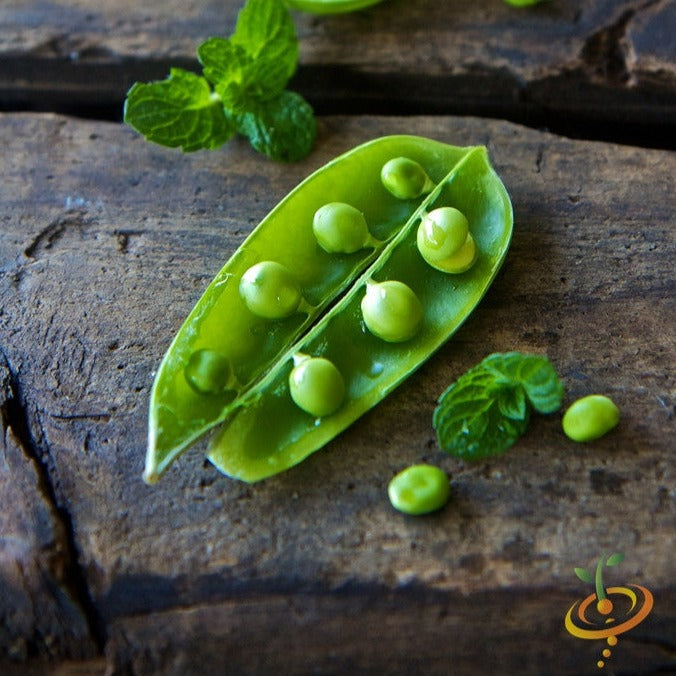 Close-up of opened sugar snap pea pod with fresh green peas and mint leaves on rustic wooden surface