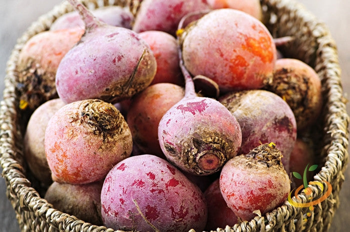 Chioggia beet seeds from SeedsNow, showing vibrant red and white striped beet roots and green foliage in a gardening setting.