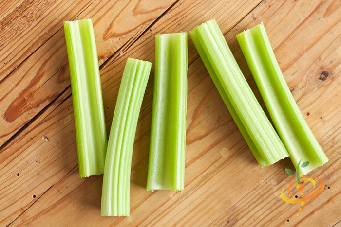Fresh tall Utah celery plant with green stalks and leaves, grown from SeedsNow celery seeds.