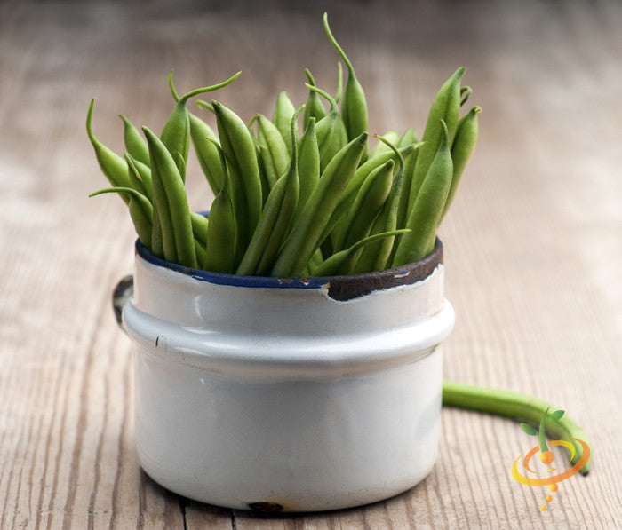 Fresh green bush harvester beans in a white ceramic container on a wooden surface