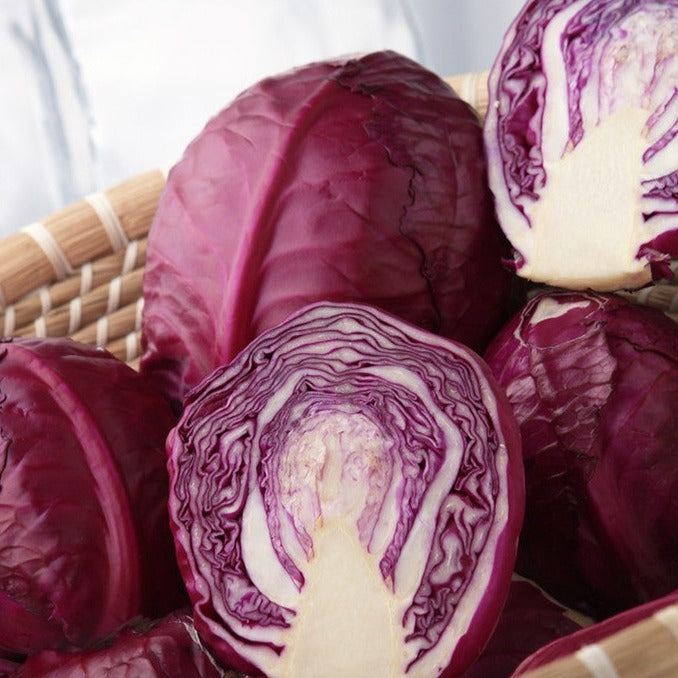 Shop Red Acre Cabbage seeds to order online in the USA. Cold-hardy, 6-7" red heads. Open-pollinated OP, USA-quality, Heirloom, NON-GMO organic garden seeds & more!