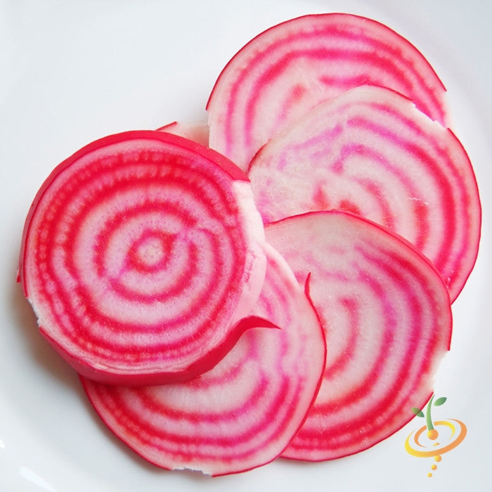 Chioggia beet seeds from SeedsNow, showing vibrant red and white striped beet root and healthy green foliage.