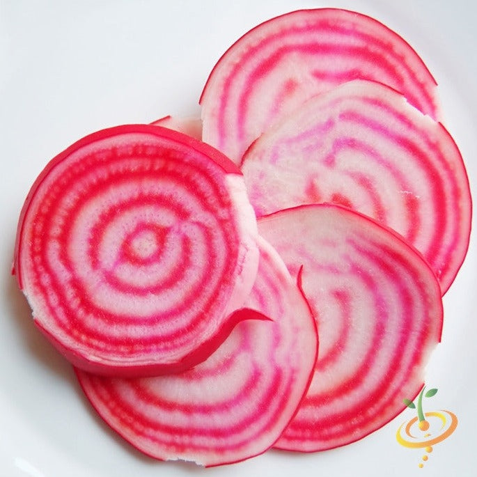 Buy Chioggia beet seeds! Rare heirloom from Italy in 1840's. Fresh Chioggia Beet seeds for sale online. Open-pollinated, NON-GMO variety with pink and white rings!