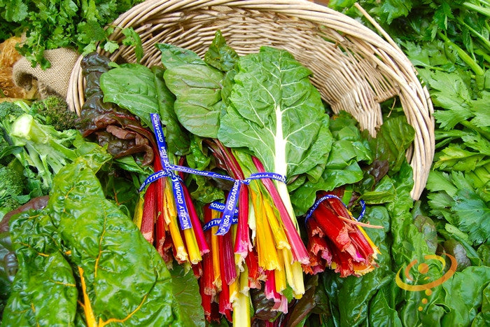 Rainbow Swiss Chard seeds from SeedsNow showing vibrant multicolored chard leaves and seed packets on a white background.