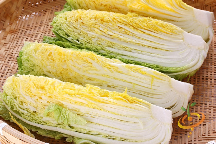 Close-up of sliced Michihili cabbage with tender yellow and light green leaves on a woven basket