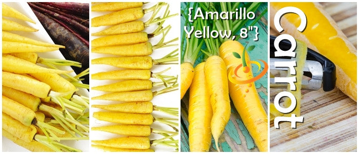 Yellow carrot SeedsNow seed packet showing vibrant 8-inch yellow carrot seeds for planting and gardening.