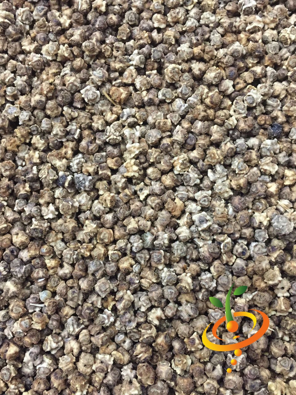 Close-up of Beet - Detroit seeds scattered densely.