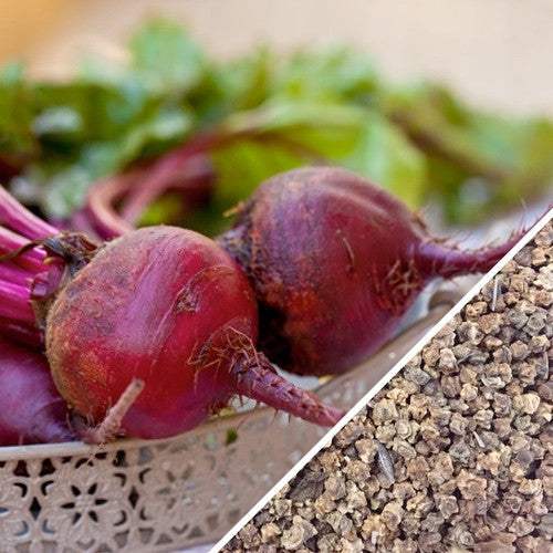 Close-up of fresh Boltardy beets with green leaves and Boltardy beet seeds in a garden setting