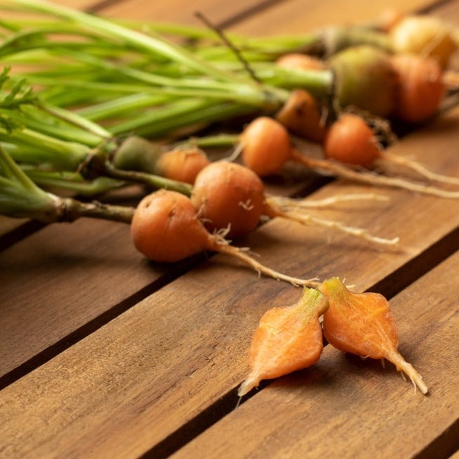 Organic Carrot seeds from Paris Market variety by SeedsNow, showing fresh, vibrant orange carrots ready for planting.