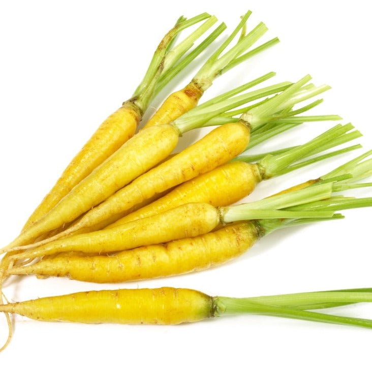 Yellow Solar Carrot seeds from SeedsNow, 7 inches long, showing vibrant orange-colored carrots with green leafy tops.