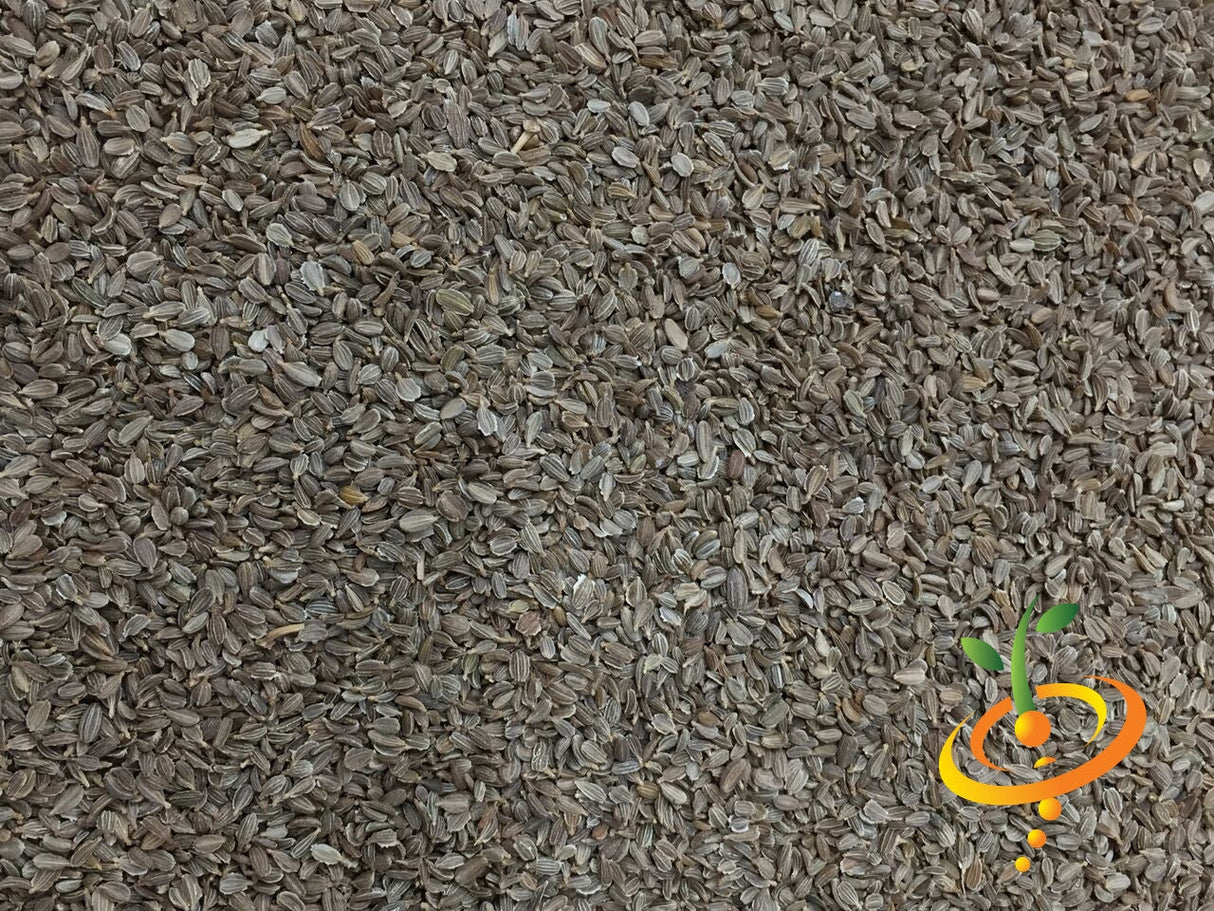 Yellow Amarillo carrot seeds from SeedsNow, 8 inches long, showing vibrant orange-yellow roots and green leafy tops.