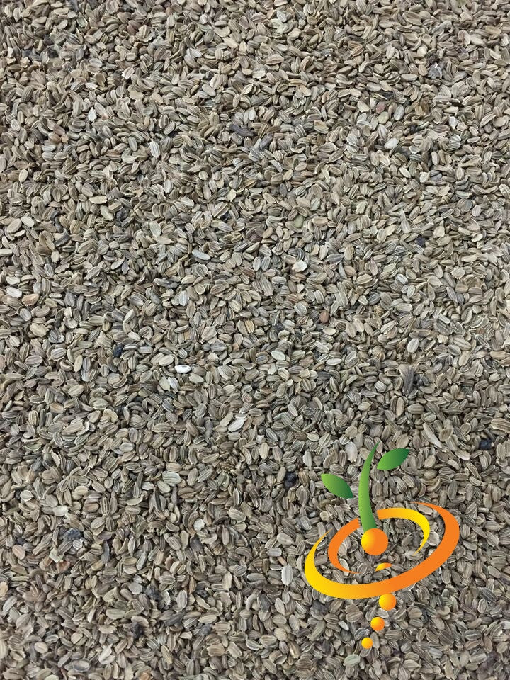 Close-up of Carrot - Chantenay seeds for planting vibrant orange carrots