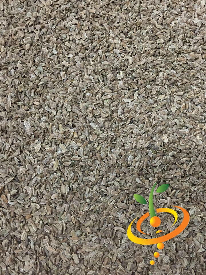 Fresh Danvers carrot seeds from SeedsNow, 7 inches long, ideal for planting and growing sweet, crisp carrots in your garden.