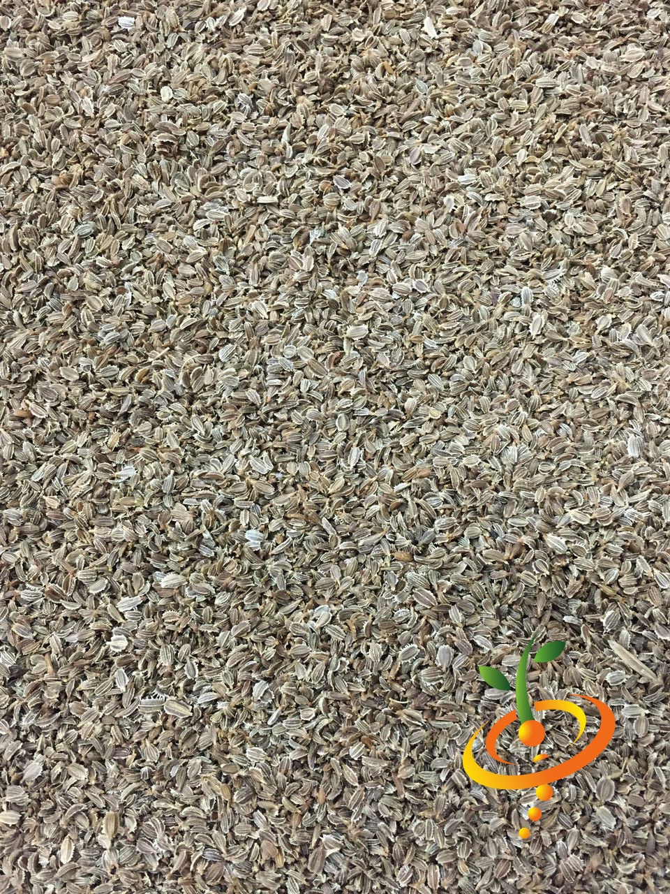 Close-up of Carrot Autumn King seeds scattered as a textured background