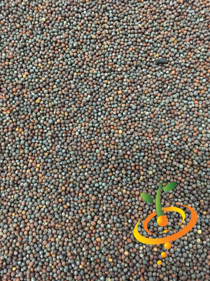 Close-up of cauliflower all year round seeds scattered densely with a small plant logo in the corner
