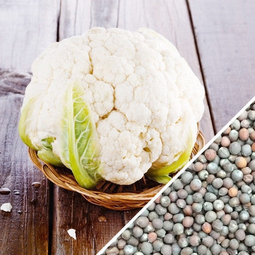 Igloo cauliflower head with seeds on wooden surface for cold season planting