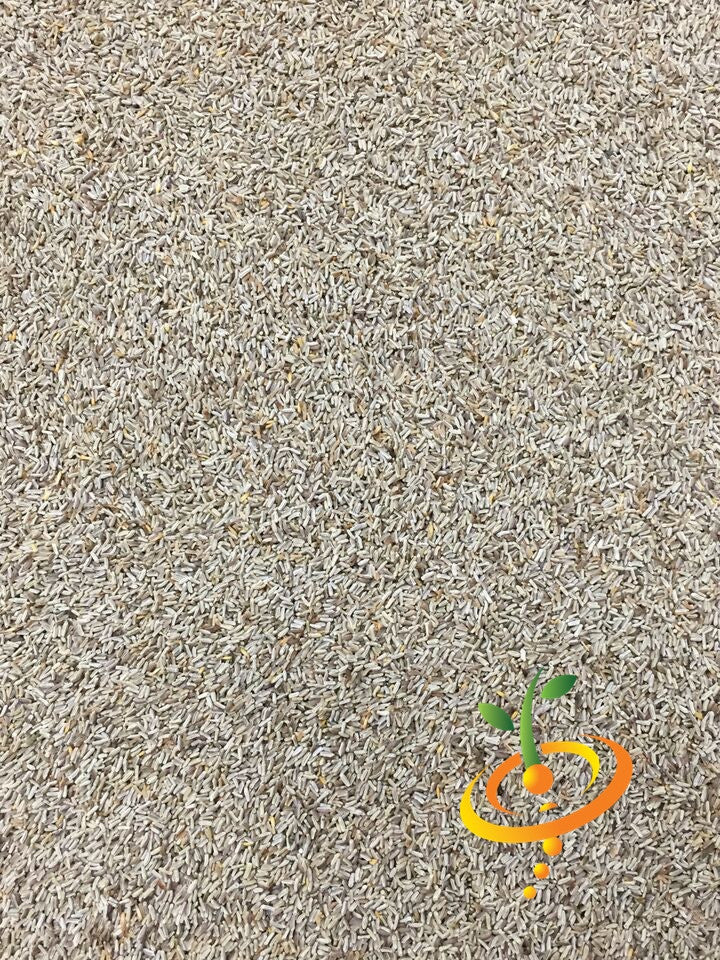 German chamomile flower seeds from SeedsNow, showing small dried seed pods ideal for planting and growing chamomile flowers.
