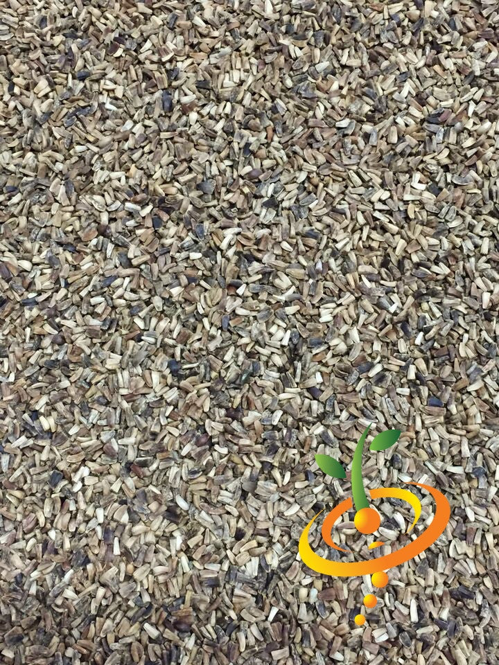 Close-up of dry Chicory Verona red seeds for planting, heirloom and non-GMO variety