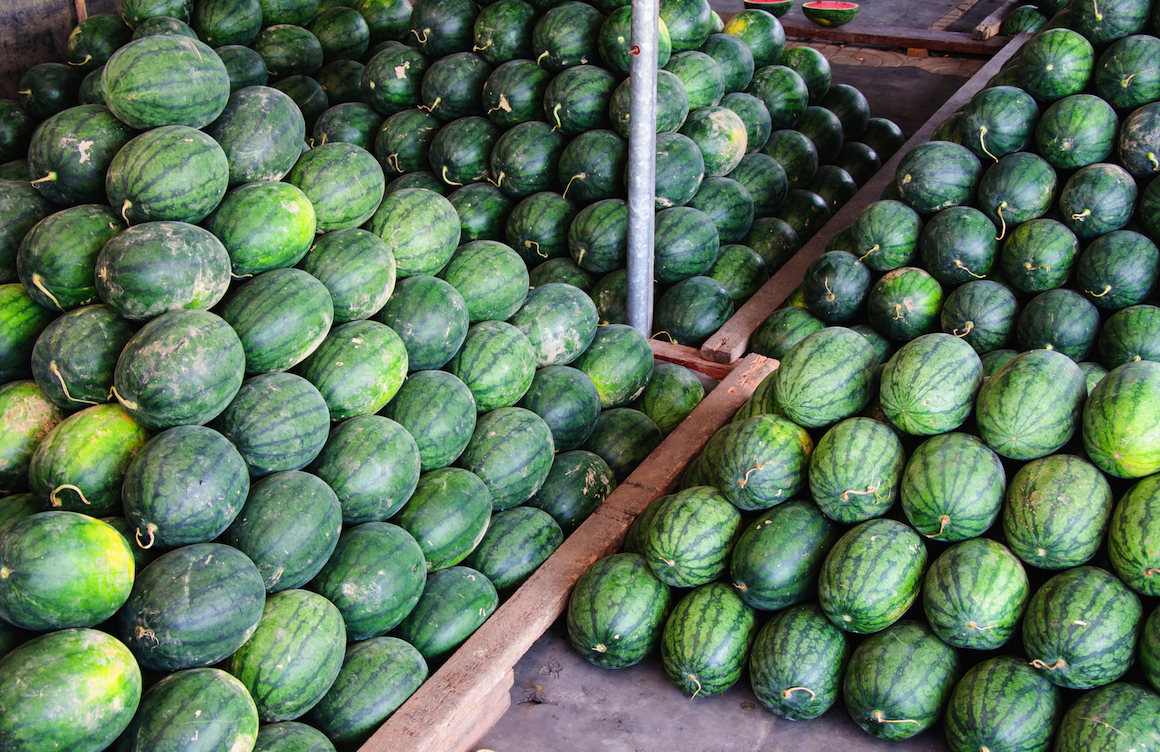 Large green Watermelon Congo fruits stacked in wooden crates at a market or warehouse