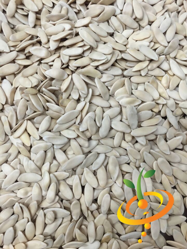 Armenian White cucumber seeds, also known as Metki Serpent Melon, shown in packaging for SeedsNow brand.