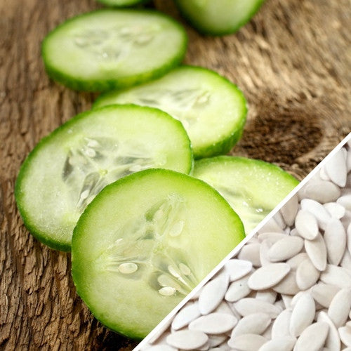 Fresh green cucumber plant grown from Ashley cucumber seeds by SeedsNow, showing healthy vines and developing cucumbers.