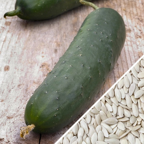 Straight Eight cucumber and seeds on wooden surface for fresh eating and salads