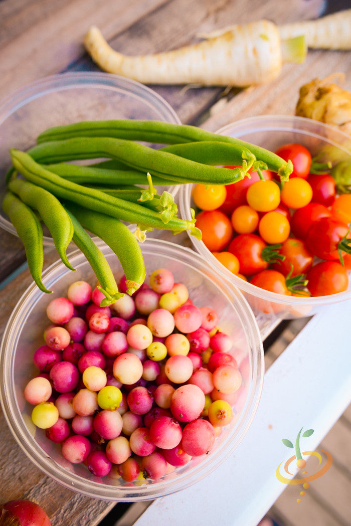 Plastic containers with fresh green beans, cherry tomatoes, and multicolored radishes on a wooden surface for seed starter kit promotion