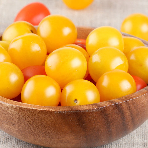Tomato Egg Seeds | Indeterminate Egg-Shaped Tomatoes