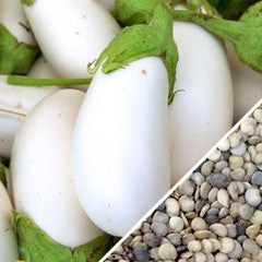 Ivory-white rare heirloom eggplants with green stems and a close-up of seeds