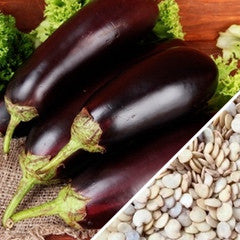 Glossy dark purple eggplants with green stems alongside seeds for Florida Market variety
