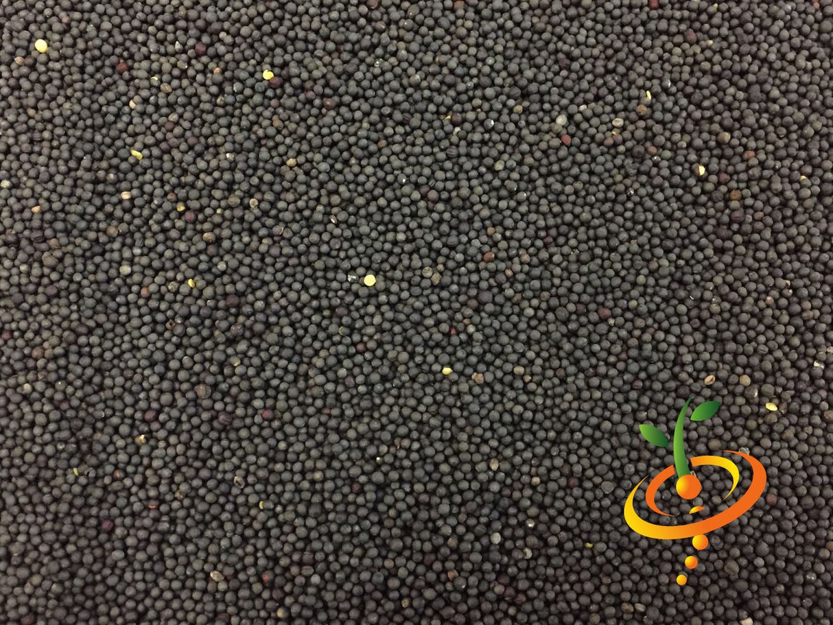 Kale Premier seeds close-up texture with SeedsNow logo