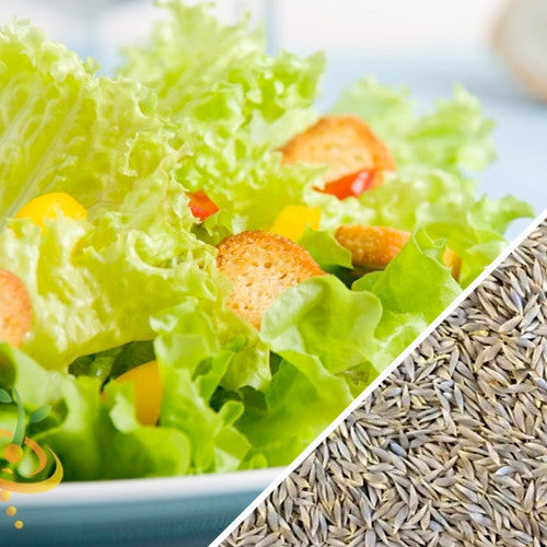 Blonde de Paris lettuce seeds from SeedsNow, small seed packets for growing crisp, tender lettuce in your garden.